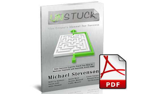 Unstuck: The Owner's Manual for Success E-book